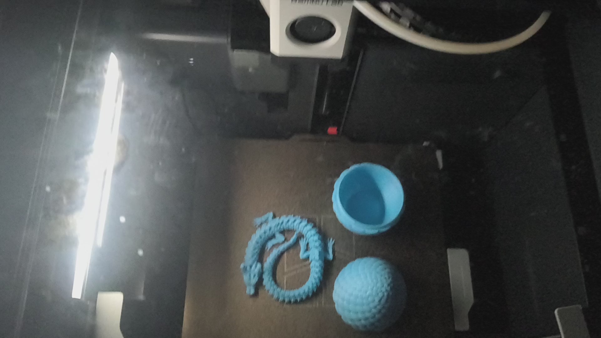 Dragon egg with dragon